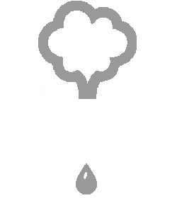 CCS